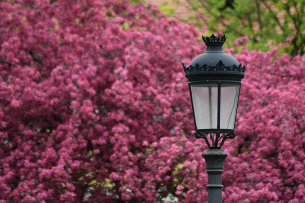 Illuminate Your Patio in Style: Large Black Candle Lanterns for Outdoor Elegance