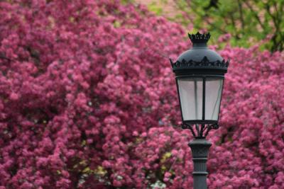 Illuminate Your Patio in Style: Large Black Candle Lanterns for Outdoor Elegance